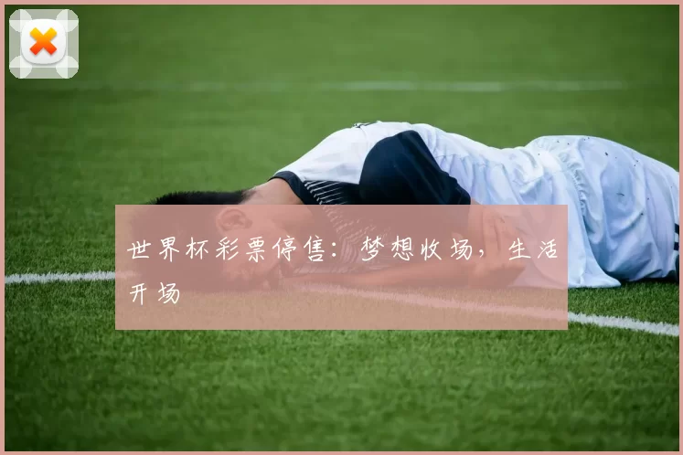 世界杯彩票停售:梦想收场,生活开场