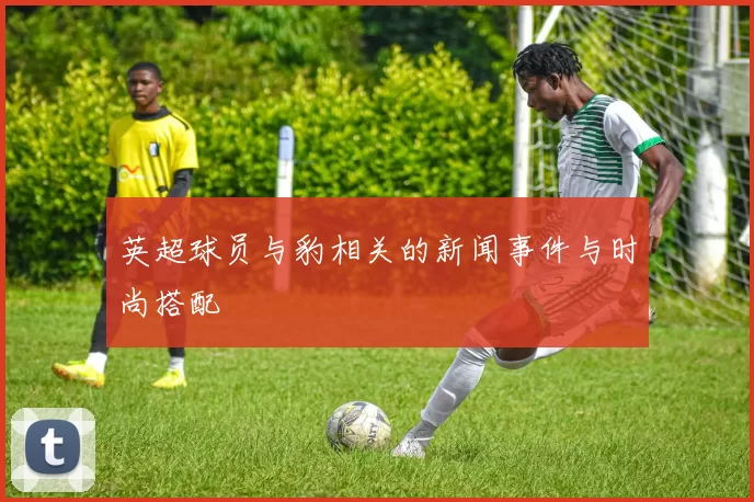 英超球员与豹相关的新闻事件与时尚搭配