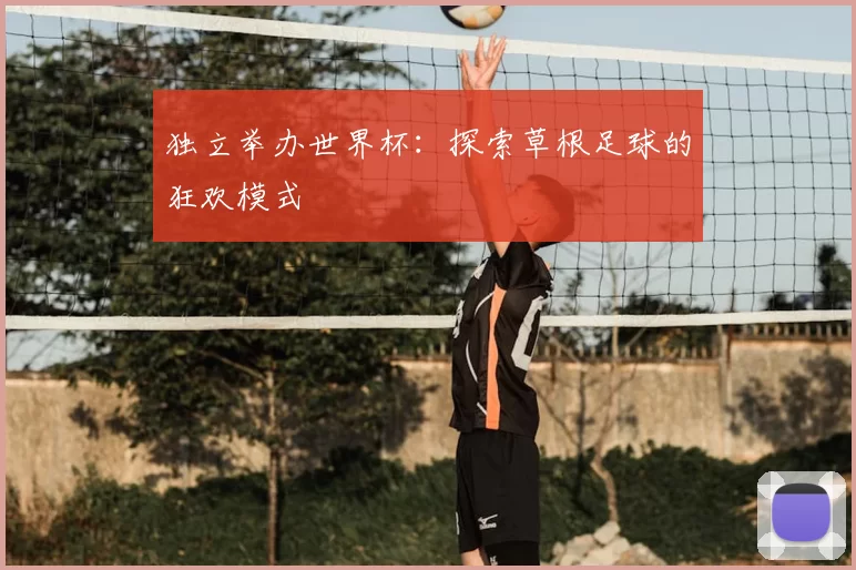 独立举办世界杯:探索草根足球的狂欢模式