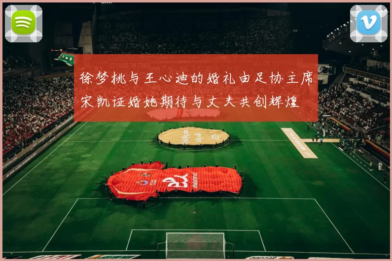 徐梦桃与王心迪的婚礼由足协主席宋凯证婚她期待与丈夫共创辉煌