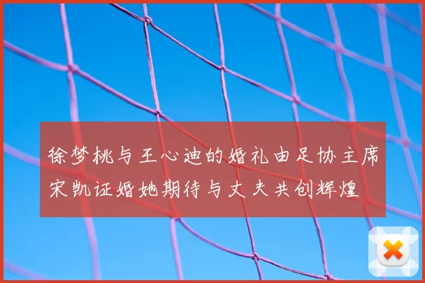 徐梦桃与王心迪的婚礼由足协主席宋凯证婚她期待与丈夫共创辉煌